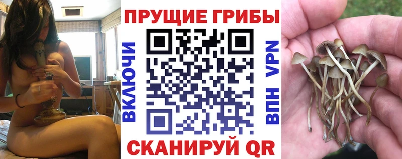 продажа наркотиков  Кедровый  Псилоцибиновые грибы MAGIC MUSHROOMS 